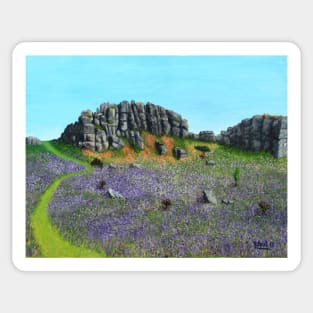 Dartmoor bluebells Sticker